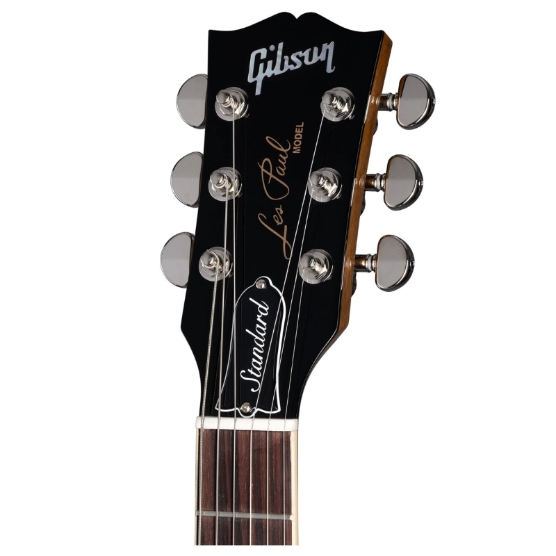 Gibson Les Paul Standard '60s Plain Top Sparkling Burgundy LPS6P00M2NH1