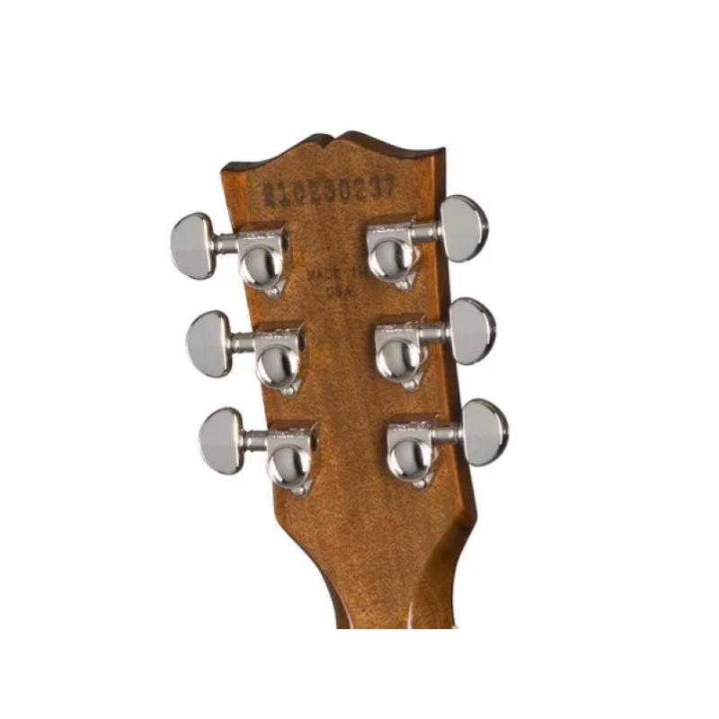 Gibson Les Paul Standard '60s Figured Top Ocean Blue LPS600OBNH1