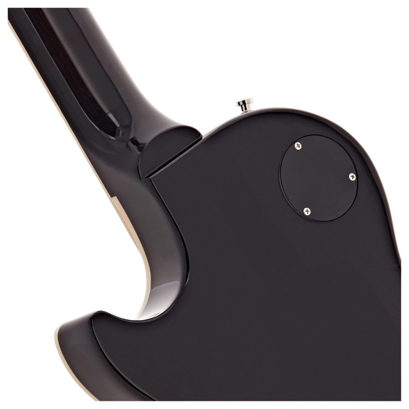 Gibson Slash Les Paul Standard November Burst LPSS00NVNH1