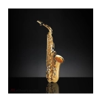 Rampone&Cazzani R1 Jazz Sax Alto Placcato Oro