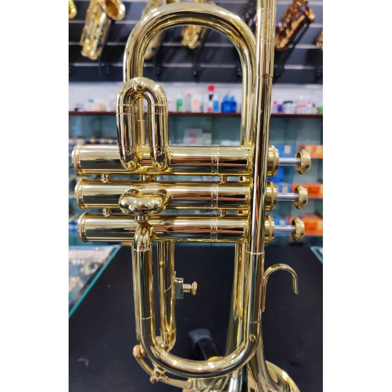 usato Amati ACR252 Cornetta in Mib Laccata