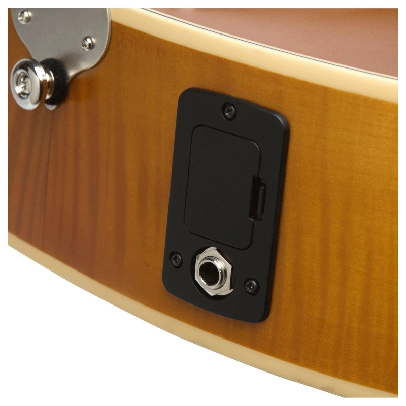 EPIPHONE Masterbilt Century Deluxe Round Hole Vintage Natural ETD1VNNH1