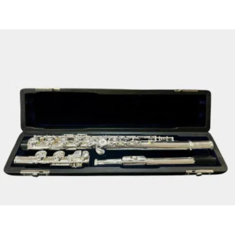 SG Flutes SF01 CE Flauto Traverso Argentato Fori Chiusi C Low