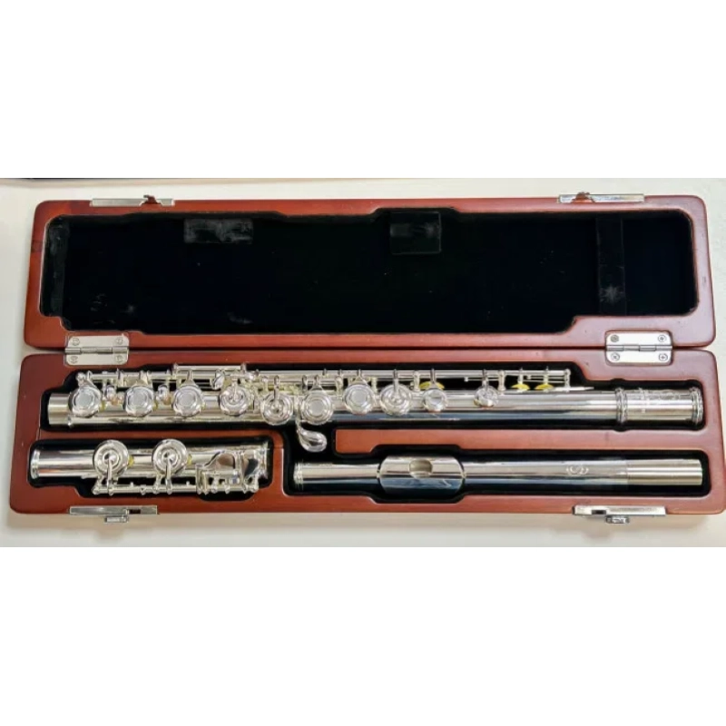 SG Flutes SF01 CE Flauto Traverso Argentato Fori Chiusi C Low