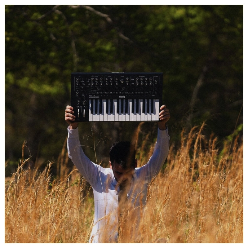 Moog Music Messenger Sintetizzatore Analogico Monofonico 32 Tasti