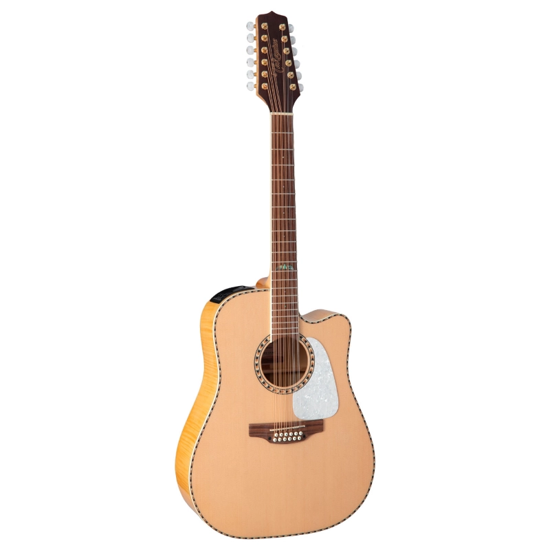 Takamine G Series Dreadnought 12 Ctw Elet G Series GD74CE
