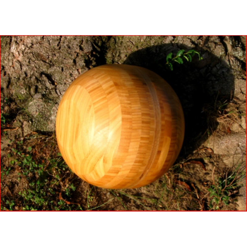 usato HBE Sfera Musicoterapia con Amplificatore