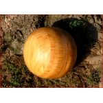 usato HBE Sfera Musicoterapia con Amplificatore