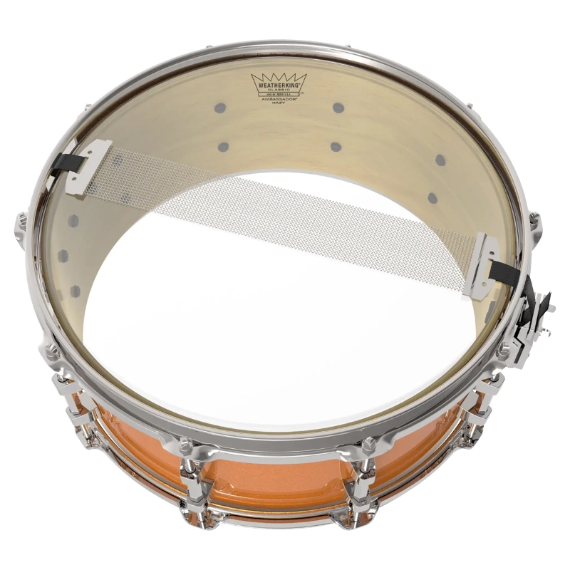 Ambassador Hazy Snare Side 2