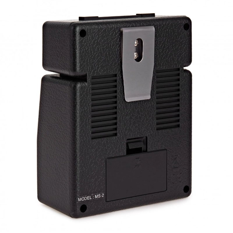 Marshall MS 2 Micro Amp (Black)