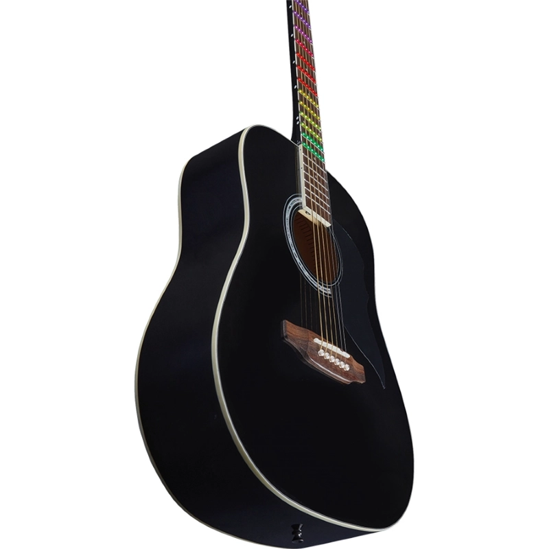 Eko Guitars Ranger Blk Visual Note
