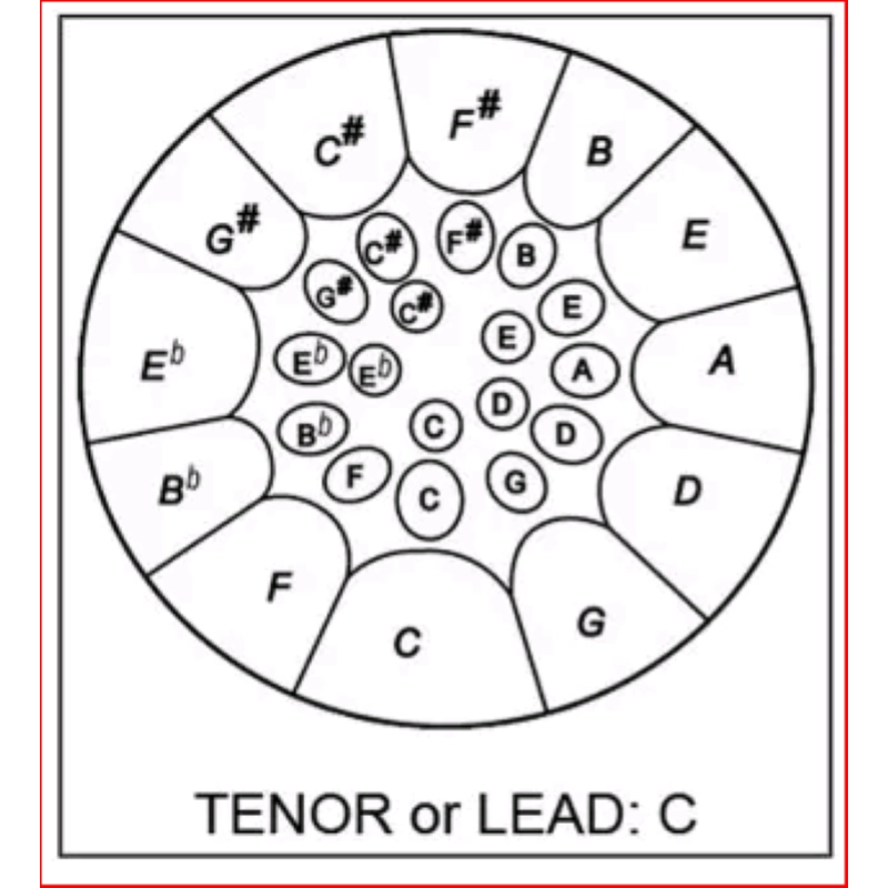 Steel Drum Tenor 29 note Trinidad Tobago