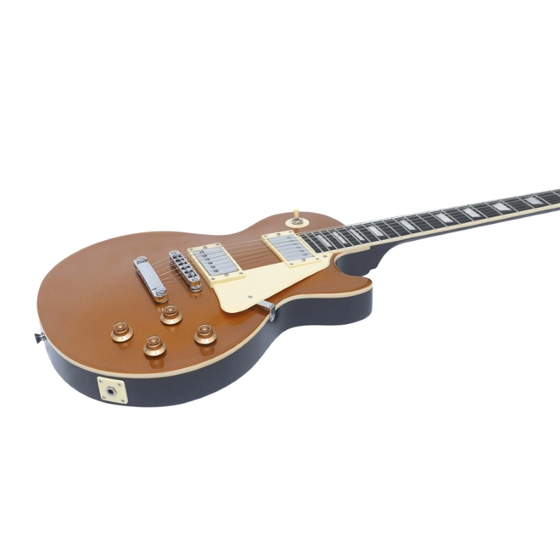 Eko Guitars LS-300 Gold