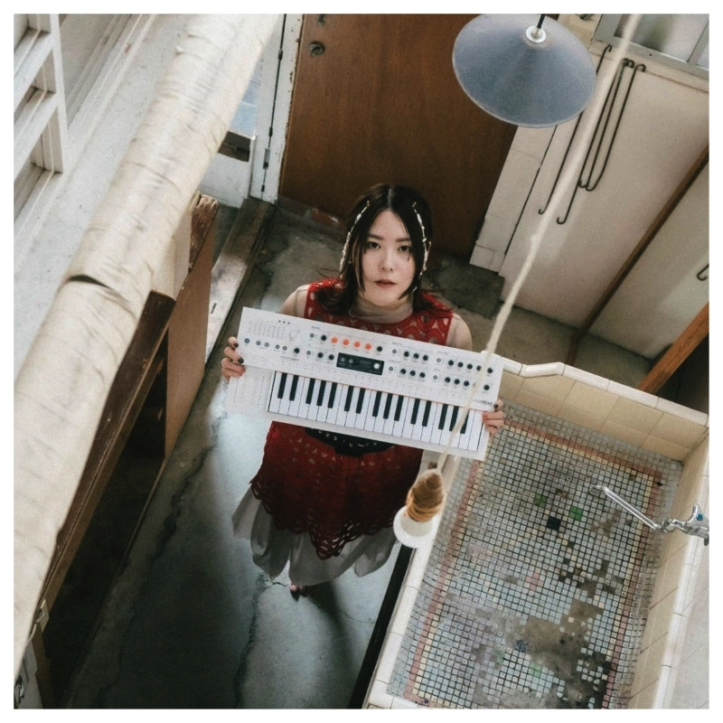 Arturia MiniFreak Vocoder Edition Sintetizzatore Ibrido Analogico Digitale 6 Voci 37 Tasti con Microfono