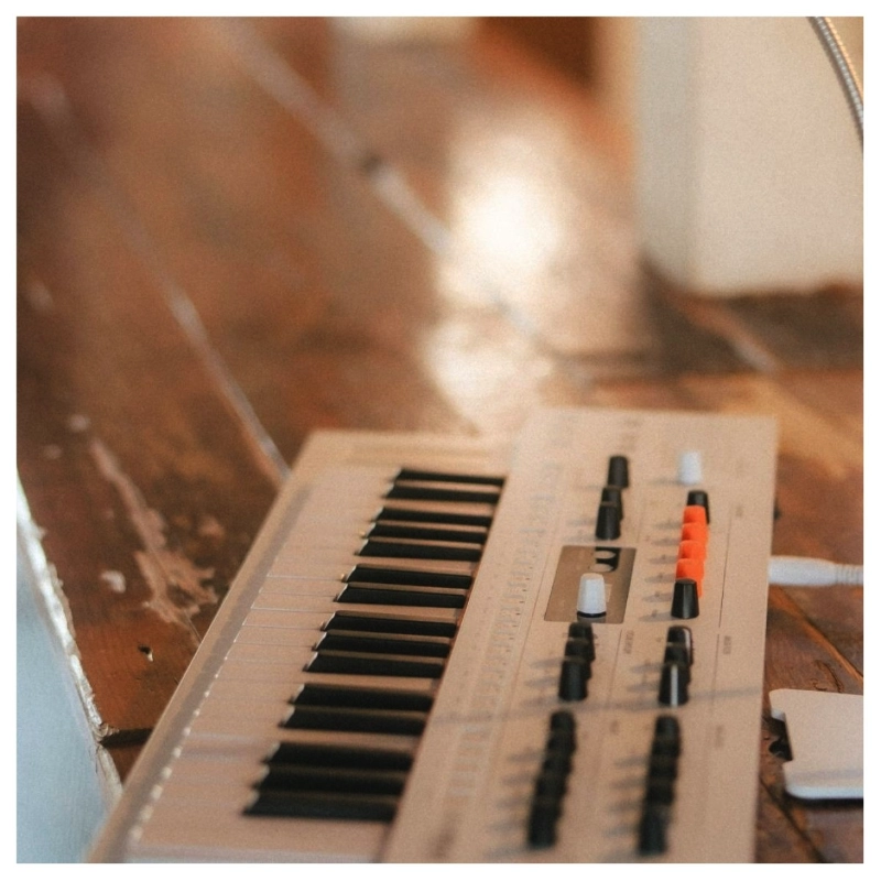 Arturia MiniFreak Vocoder Edition Sintetizzatore Ibrido Analogico Digitale 6 Voci 37 Tasti con Microfono