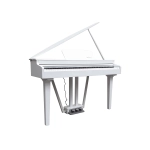 E-CHORD GP10W Pianoforte digitale Codino 88 Tasti Pesati White