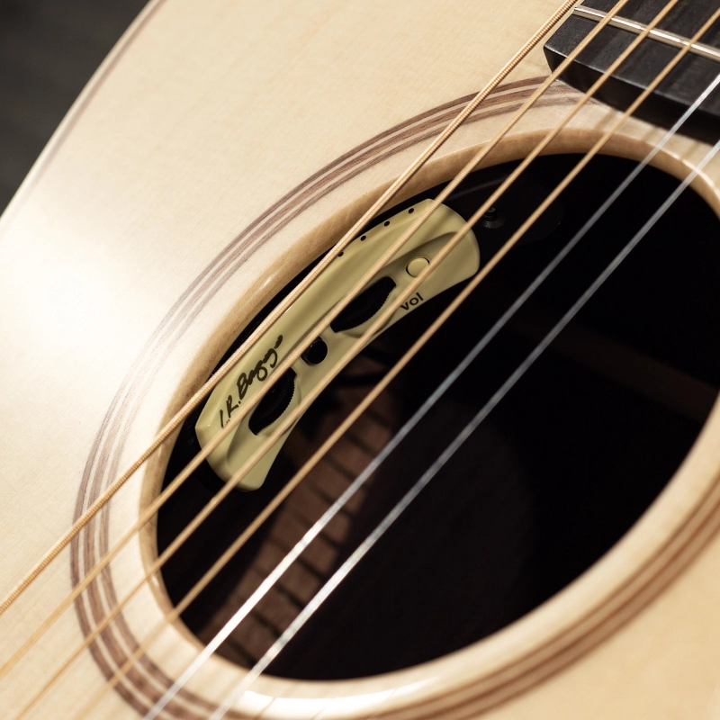 Lowden Original F-32 elettrificata