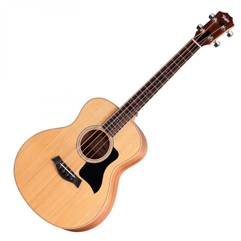 Taylor GS Mini-e Bass