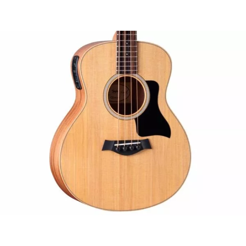 Taylor GS Mini-e Bass