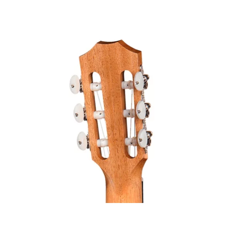 Taylor Academy 12e N Grand Concert Chitarra Corde nylon