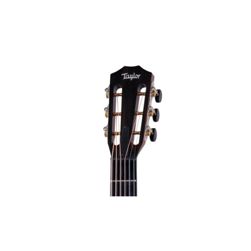 Taylor 312ce 12-Fret