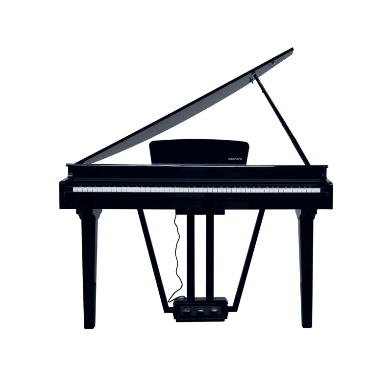 E-CHORD GP10B Pianoforte digitale Codino 88 Tasti Pesati Black