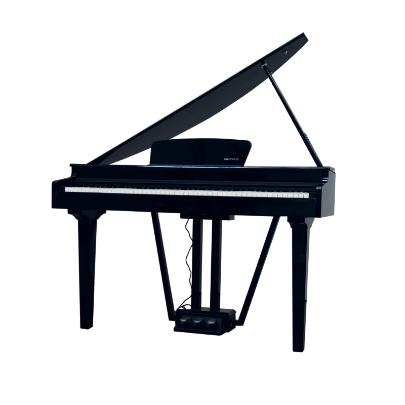 E-CHORD GP10B Pianoforte digitale Codino 88 Tasti Pesati Black