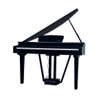 E-CHORD GP10B Pianoforte digitale Codino 88 Tasti Pesati Black