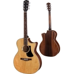 Eastman PCH2-GACE Natural