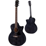 Eastman PCH3-GACE-TBK Trans Black