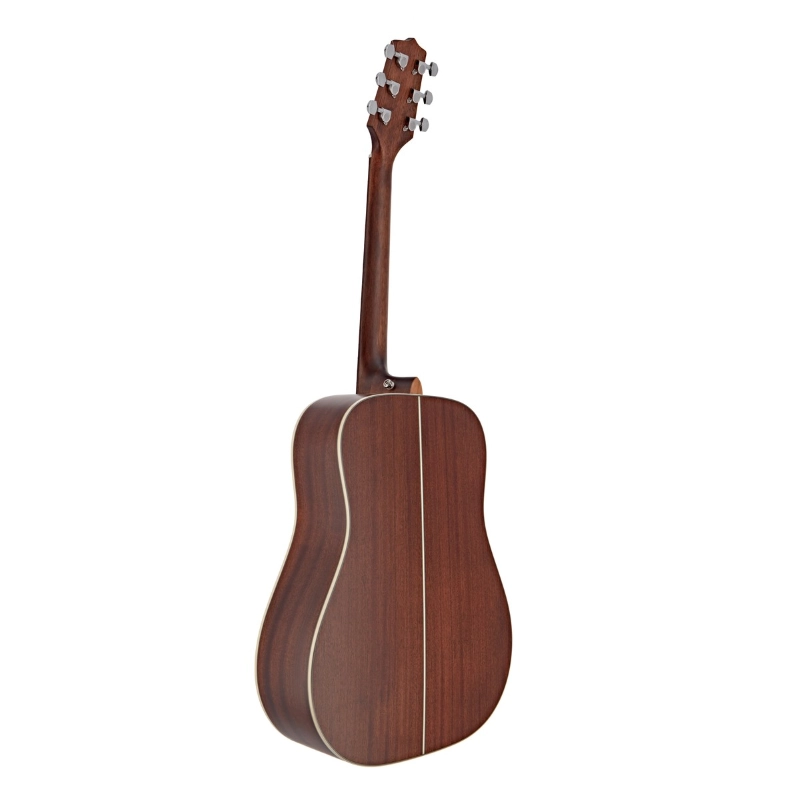 Takamine GD20-NS - Chitarra 6 corde dreadnought - Serie G Series