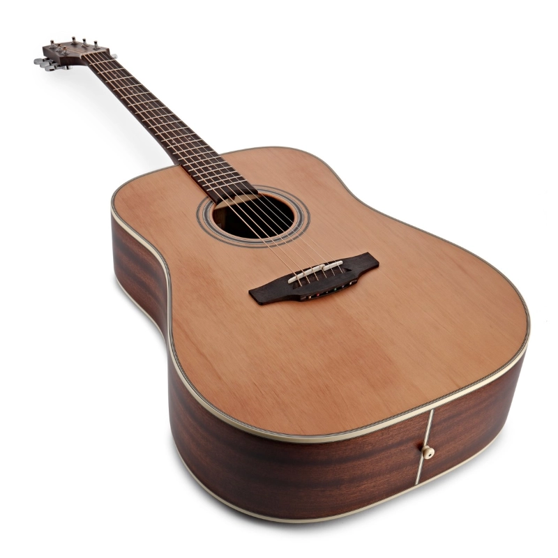 Takamine GD20-NS - Chitarra 6 corde dreadnought - Serie G Series
