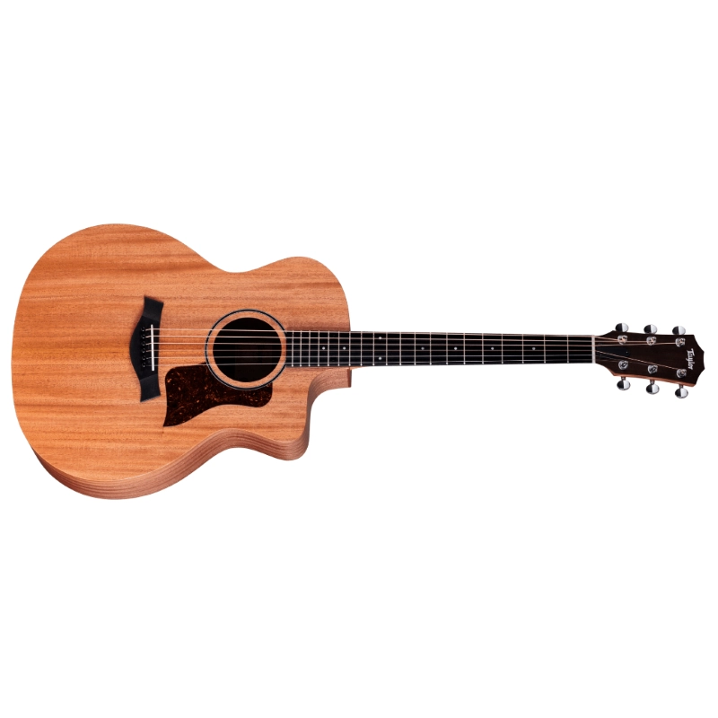 Taylor 24ce,Sapele/Mahogany,Fishman