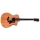 Taylor 24ce,Sapele/Mahogany,Fishman