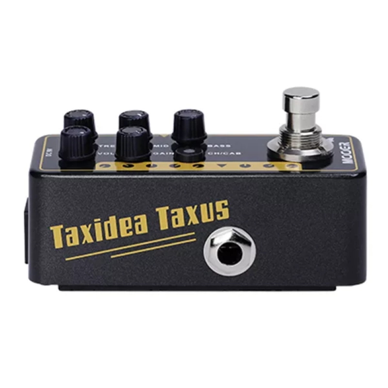 MOOER 014 TAXIDEA TAXUS