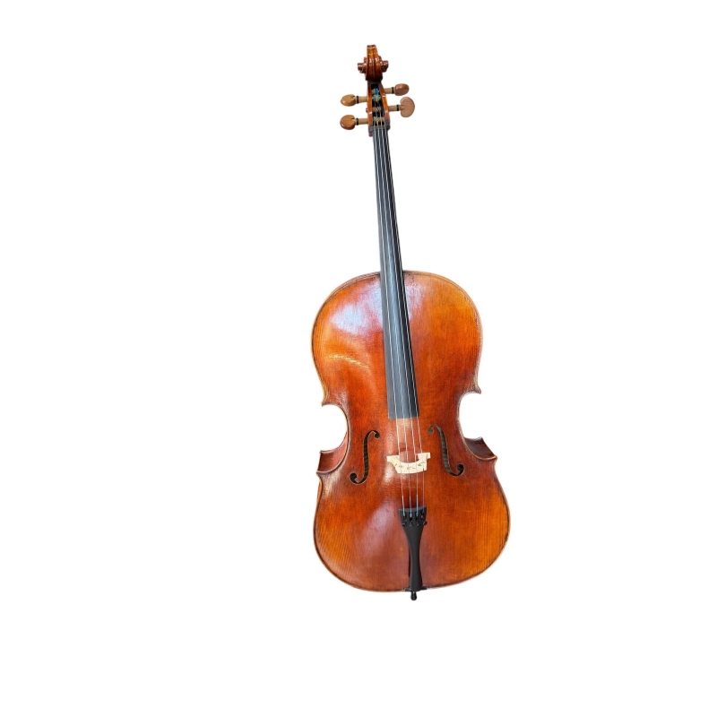 Violoncello Bruck Master mod. Montagnana Yuan