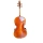 Violoncello Bruck Master mod. Montagnana Yuan