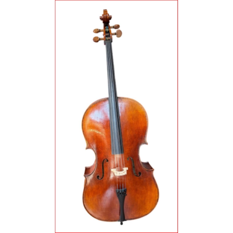 Violoncello Bruck Master mod. Montagnana Yuan