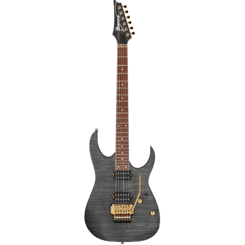 Ibanez RGR420FMSPTGF TGF (Transparent Gray Flat)