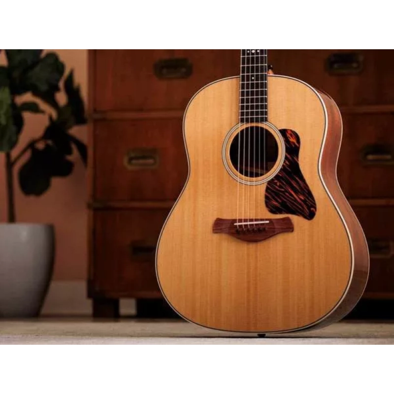 Taylor Gold Label 517e,Mahogany/Tor.Sitka