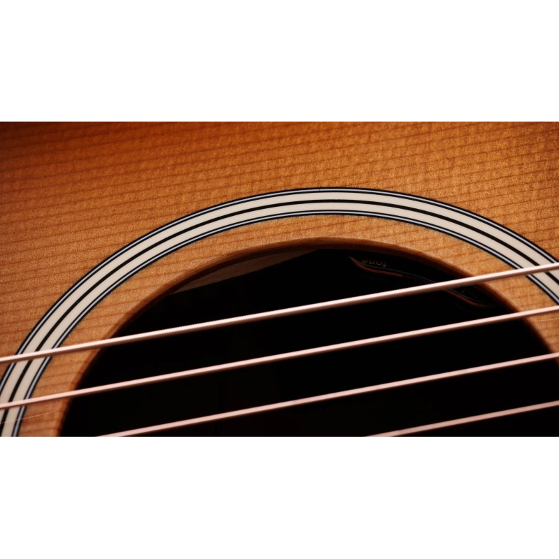 Taylor Gold Label 517e SB,Mahogany/Tor.Sitka,