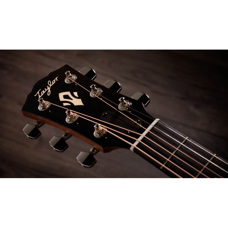 Taylor Gold Label 517e SB,Mahogany/Tor.Sitka,