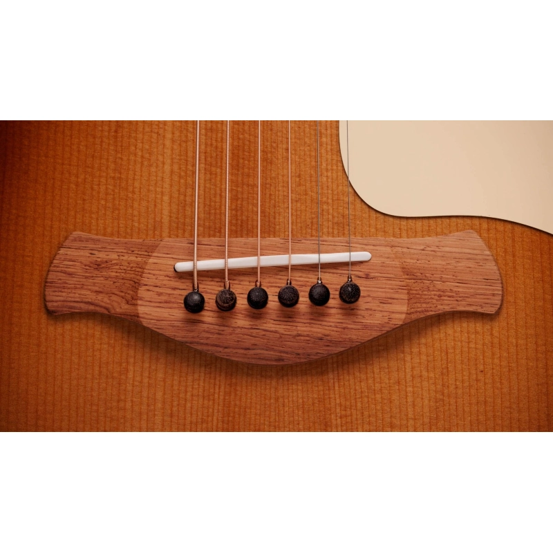 Taylor Gold Label 517e SB,Mahogany/Tor.Sitka,