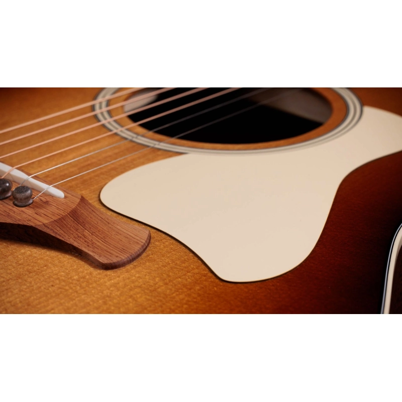 Taylor Gold Label 517e SB,Mahogany/Tor.Sitka,