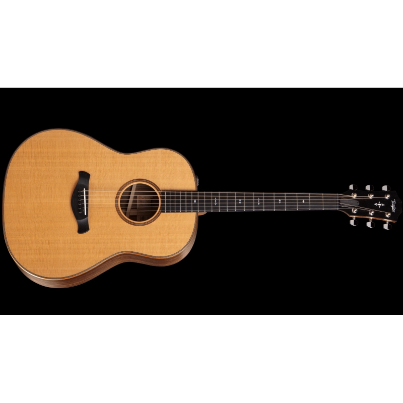 Taylor Gold Label 717e,Indian RW/Torr.Sitka