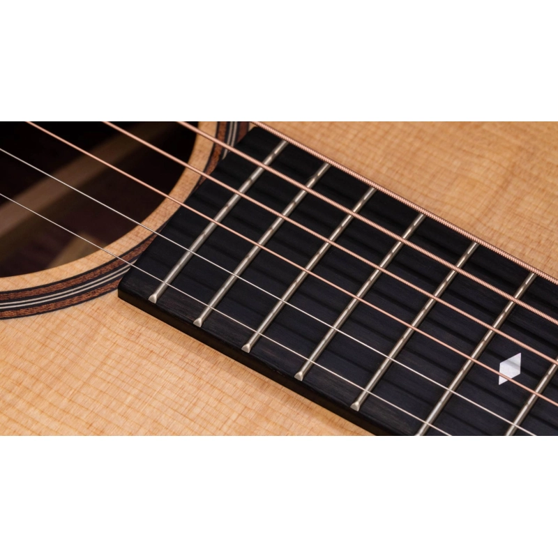 Taylor Gold Label 717e,Indian RW/Torr.Sitka