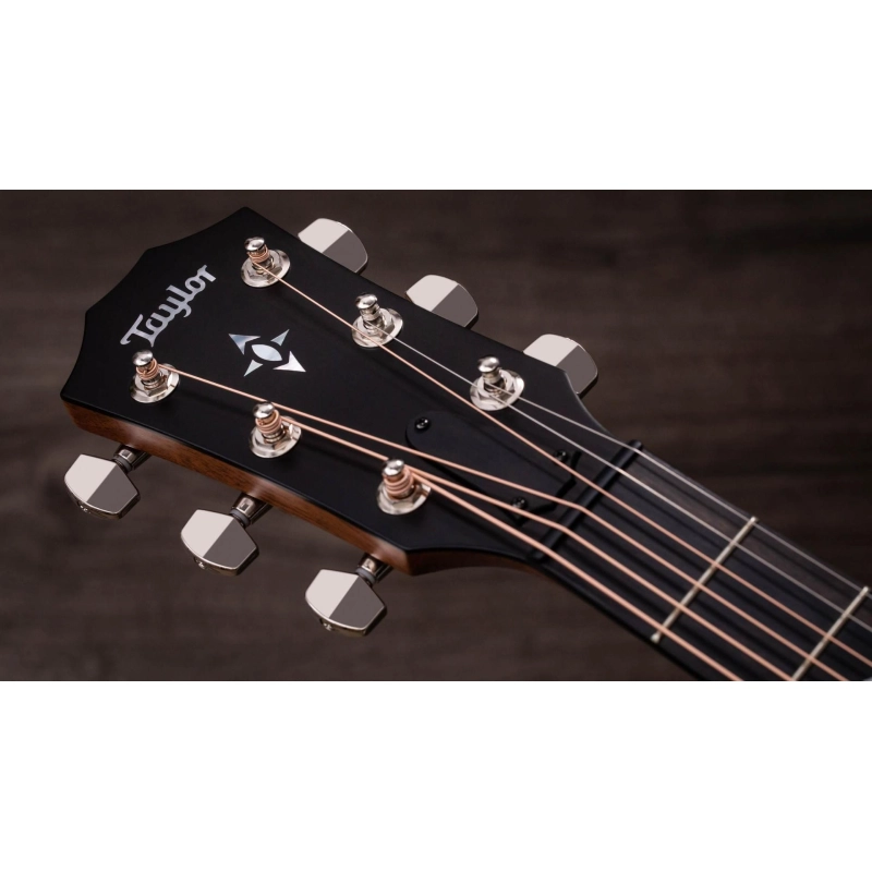 Taylor Gold Label 717e,Indian RW/Torr.Sitka