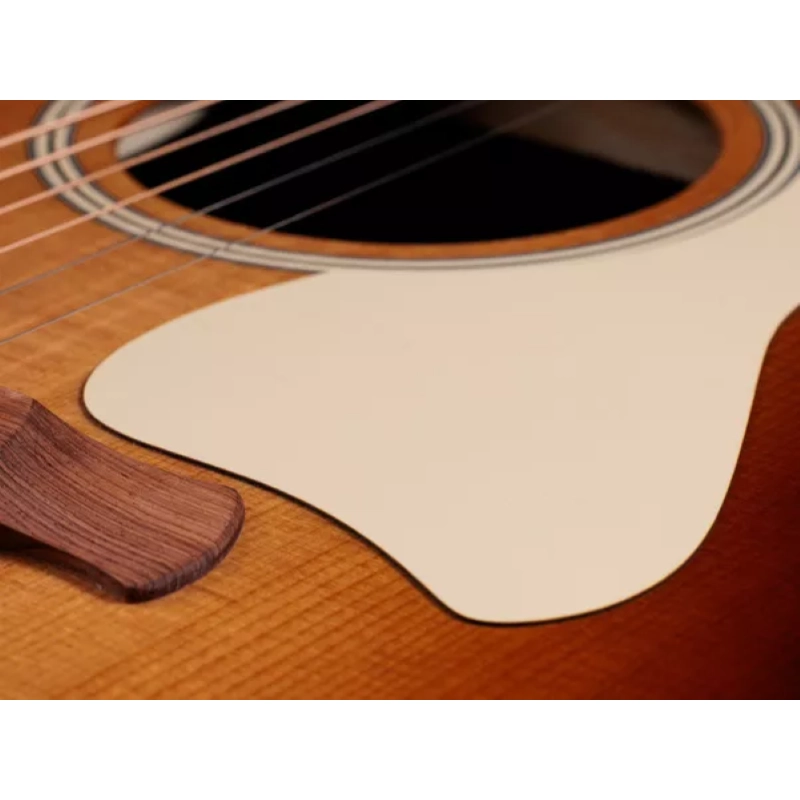 Taylor Gold Label 717e SB,Indian RW/Torr.Sitka