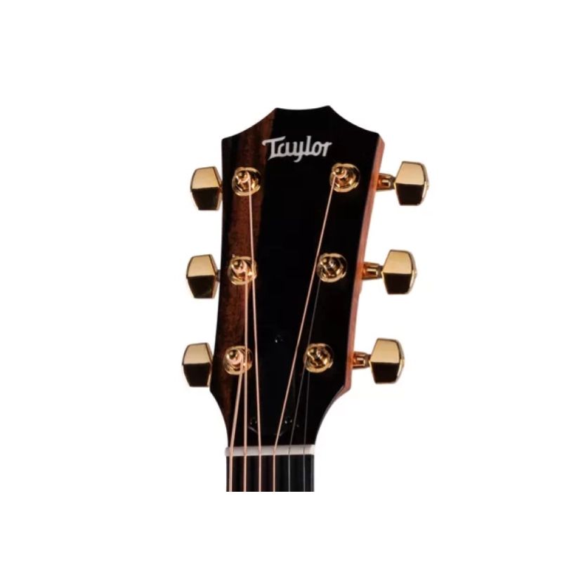 Taylor 414ce Studio Special Edition,Ind. RW/Sitka, SEB