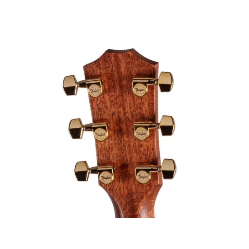 Taylor 414ce Studio Special Edition,Ind. RW/Sitka, SEB